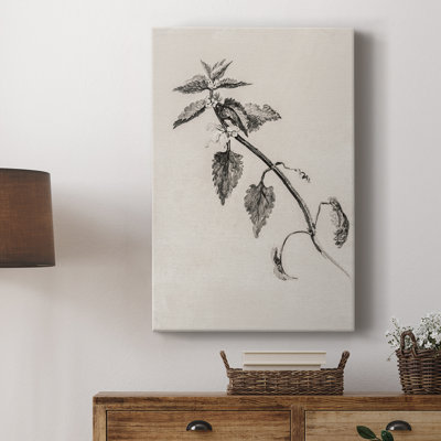 Imprimé floral rétro CCXLVI - Galas enveloppés de galerie