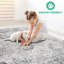Tapis crème, anthracite / traditionnel-227440846
