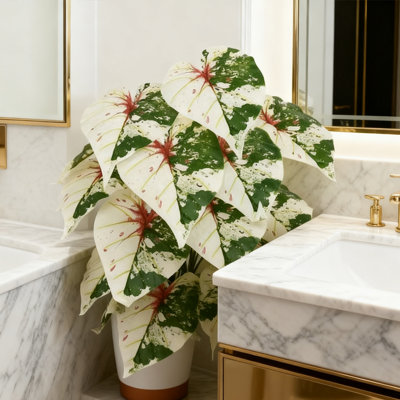1 plante artificielle à feuilles vertes tropicales, verdure artificielle de 23,6 pouces avec pots en plastique pour la salle de bain, le bureau, le rebord de fenêtre, modèle B