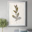Bronze Leaf II - Reproduction d'art sur papier encadrée-798495689-798495691