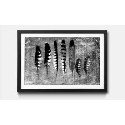 Monochrome Feathers - Single Picture Frame Print