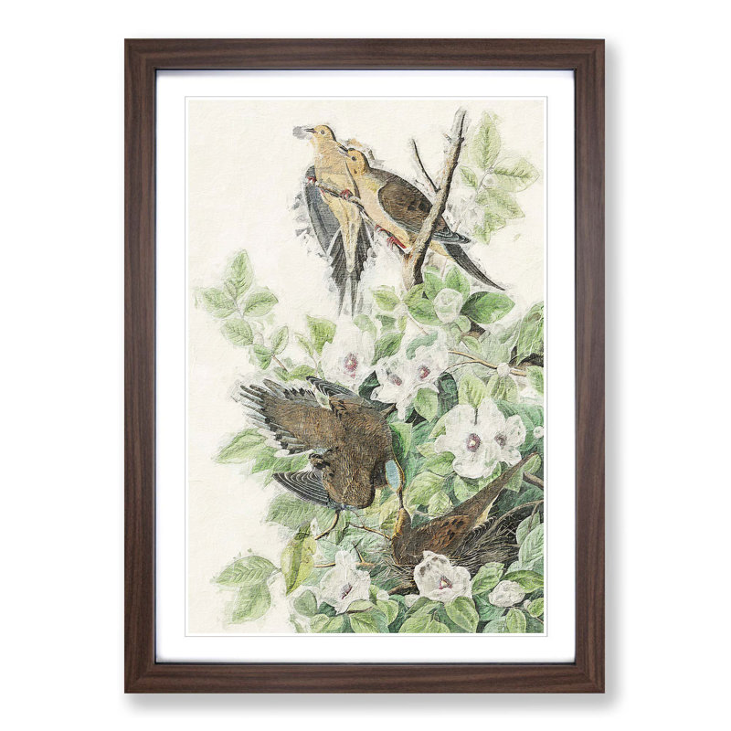 Carolina Pigeons by John Audubon - Picture Frame Painting Print, Walnut Framed, 48cm H x 36cm W x 2cm D