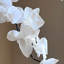 Ornements de fleurs simulées
