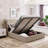 Queen Size Upholstered Platform Bed-688296437