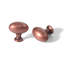 Paquet de 1,4 po de boutons ovales-87682479