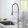 PROOX Pull Down Kitchen Faucet