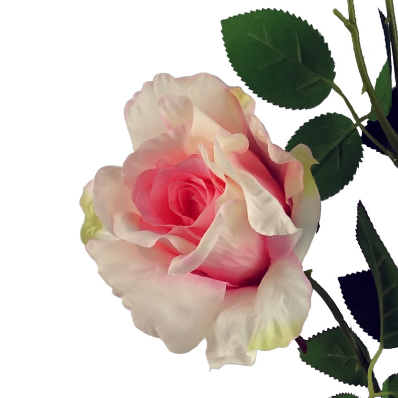 Plastic, Silk Artificial Arrangement, Pink