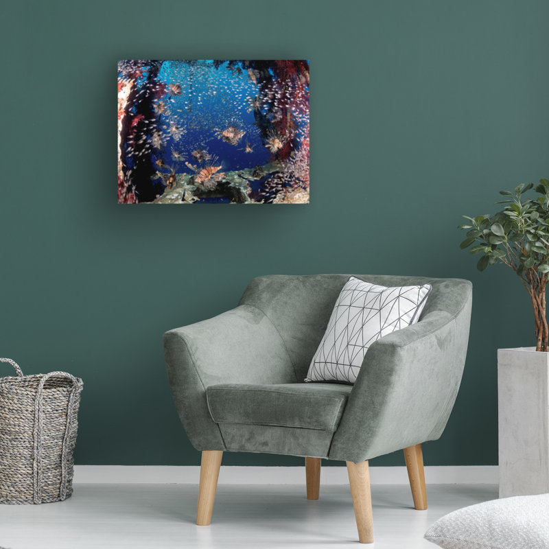 Art sur toile Ilan Ben Tov, H 18 po x l 24 po