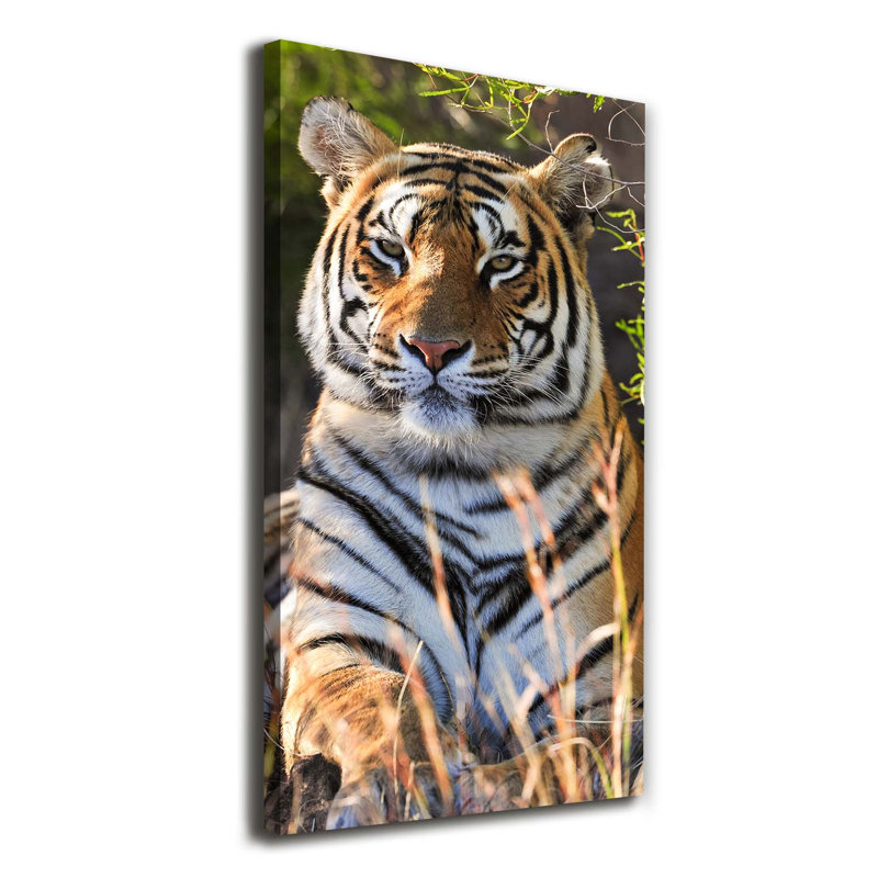Tiger - Wrapped Canvas Print