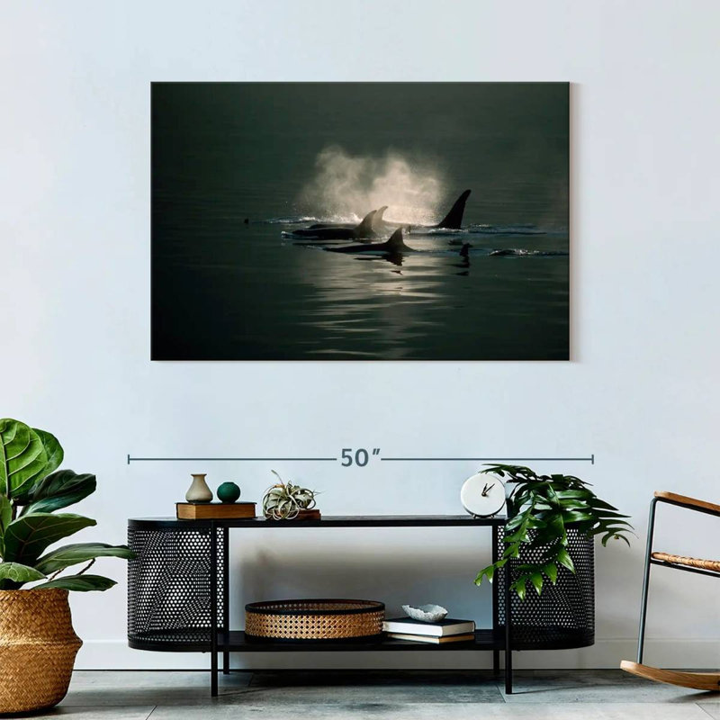 Brampt Orca Whale Pod, 30" H x 45" W