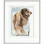 Heinz Print