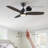 Laylagrace 52'' Ceiling Fan with LED Lights