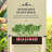 Elevated Wooden Planter Box Raised Garden Bed With Legs