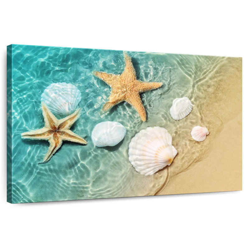 Étoile de mer et coquillages Alvord, H 20 po x l 30 po