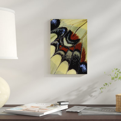 « papillon macro-photographie xxx », reproduction de photo sur toile