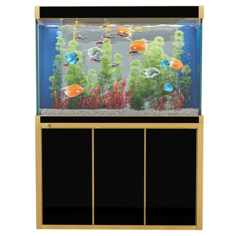 Réservoir d'aquarium 50 gallons, Noir / or, 135 gallons (H 51 po x l 14 po x P 24 po)