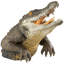 Snapping Swamp Gator Statue