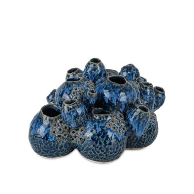 Sulawasi Blue Shells
