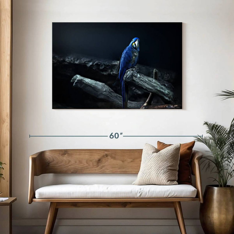 Brampt Hyacinth Macaw, 30" H x 45" W