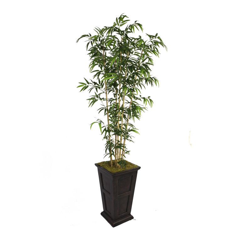 Aislin 72" Artificial Bamboo Tree in Planter