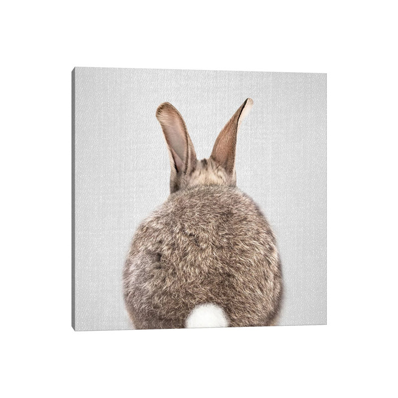Rabbit Tail - Wrapped Canvas Print, 66.04 cm H x 66.04 cm W x 1.91 cm D