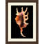 Large Shell 2 Print