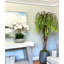 Orchid Arrangement in a Round Fiberstone Planter