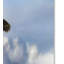 «Rise Above Bald Eagle» de Vidur, impression sur toile tendue-22073582