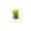 Vaporisateur artificiel Crassula Tetragona