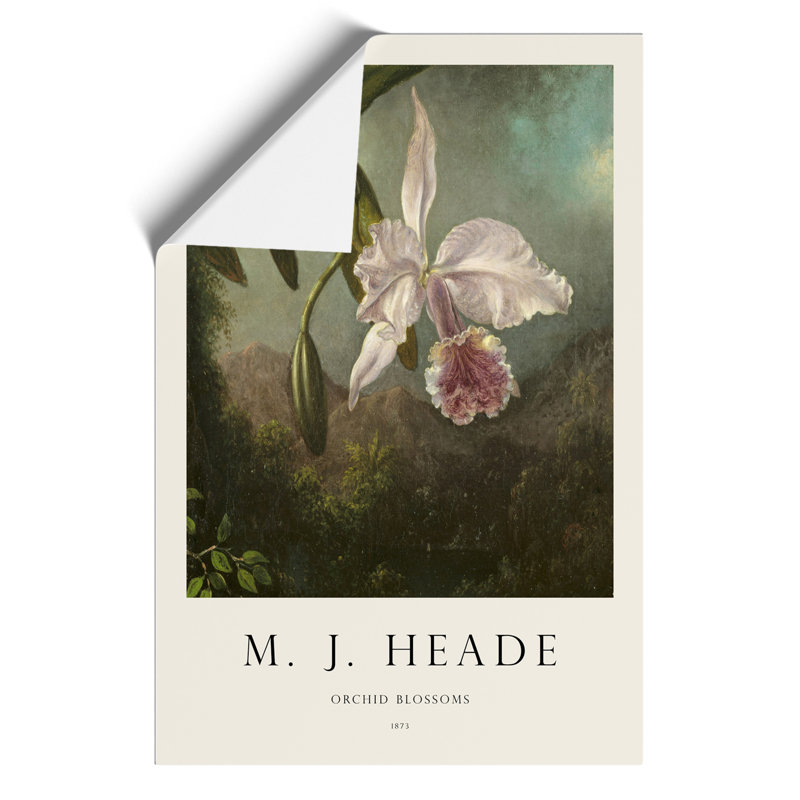 Orchid Blossoms - No Frame Print, 42cm H x 30cm W x 0.1cm D