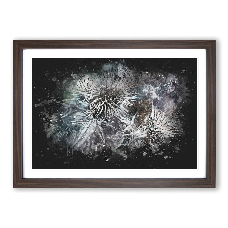 Thistle Flower - Picture Frame Graphic Art Print on MDF, 45cm H x 63cm W x 2cm D, Walnut Framed