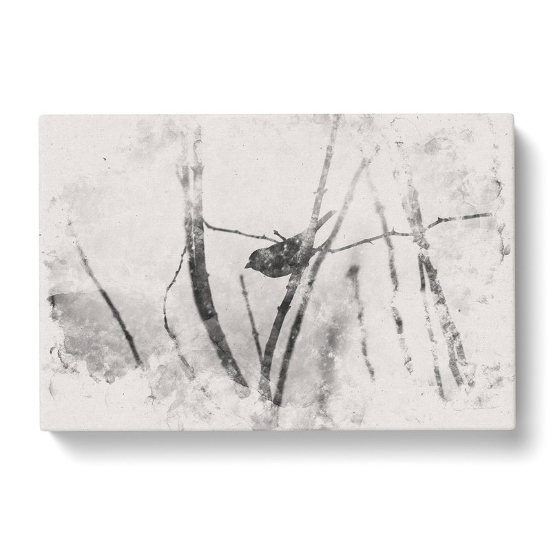 Bird On A Branch - Wrapped Canvas, 50cm H x 76cm W x 3cm D