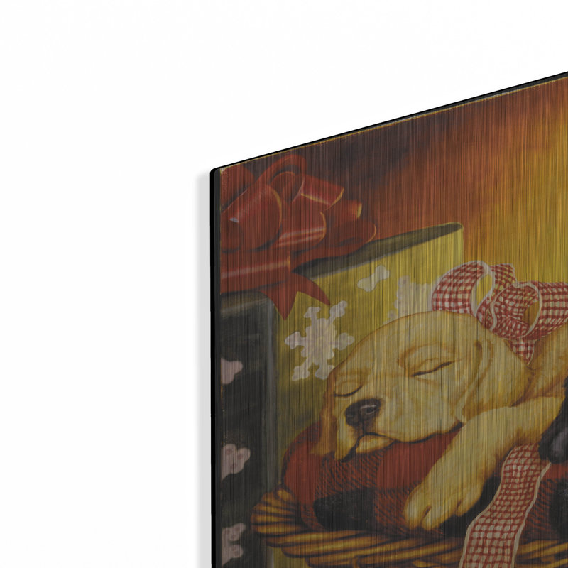 «Lab Basket» par Christopher Nick, H 24 po x l 36 po