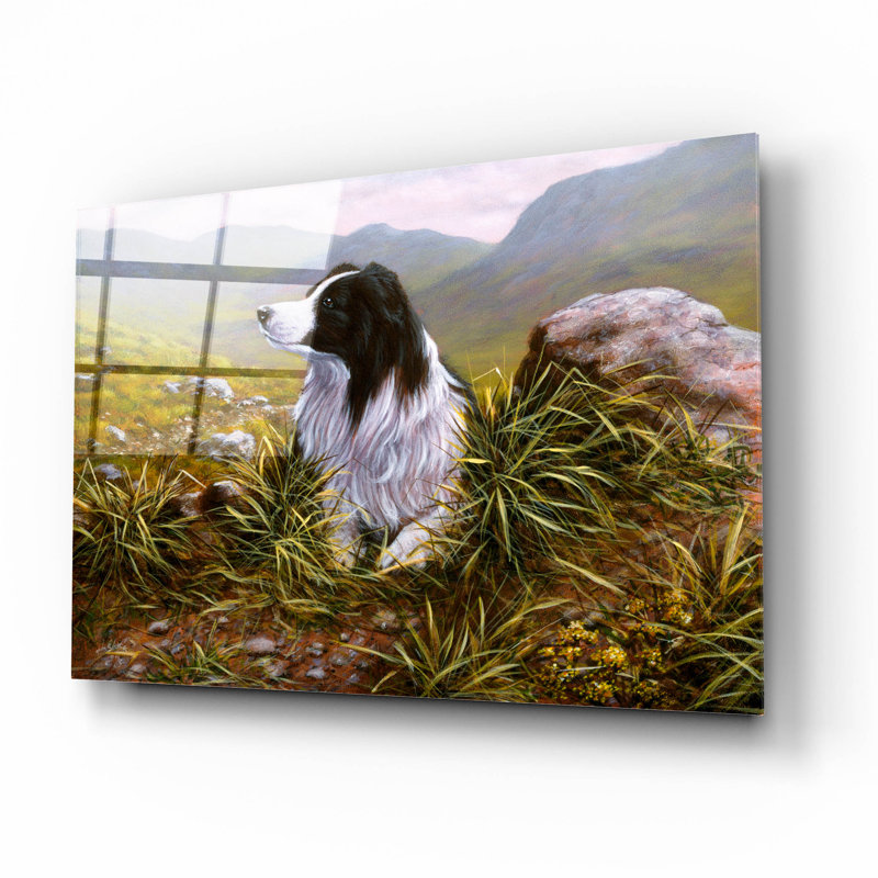 Red Barrel Studio® 'Thoughtful Border Collie' by John Silver