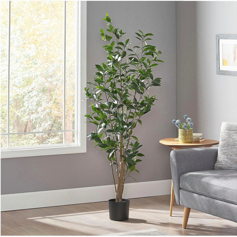 ARBRE DE LAURIER ARTIFIQUE 150CM 150CM, 64 po x 24 po