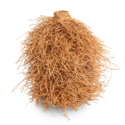 12" Vetiver Decorative Sculpture