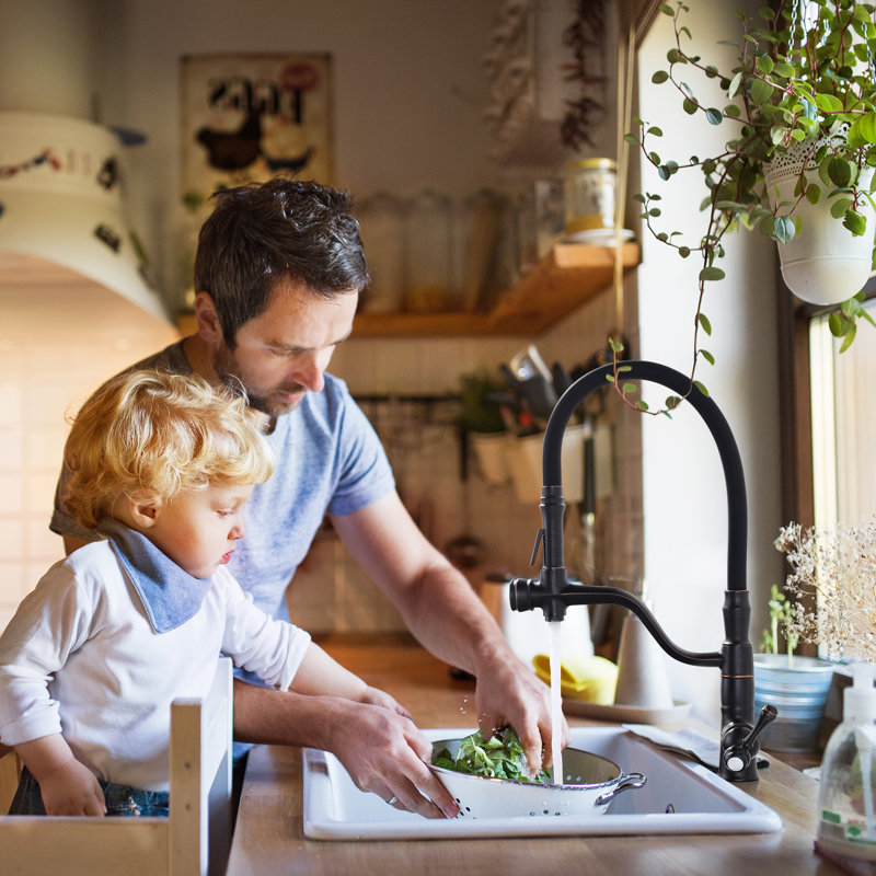 Aleasha Kitchen Faucet, Oil Rubbed Bronze