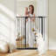 Barrière murale pour animaux