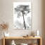Harnek Rose Dynasty BW II-108253844