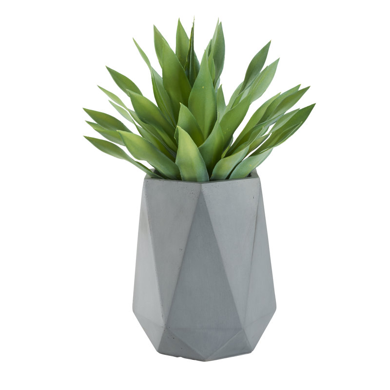 Grand plante grasse 31 po Desert, gris