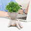 Plantes succulentes artificielles pour salle de bain