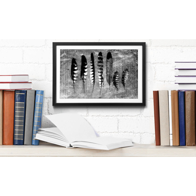 Monochrome Feathers - Single Picture Frame Print, 40cm H x 60cm W