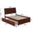 Lampley Solid Wood Platform Bed with Panel Footboard and Trundle-532542162-532542160