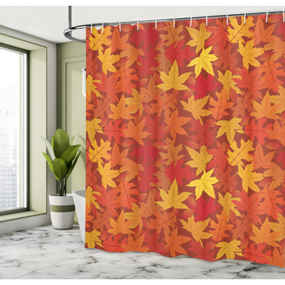 Shower Curtain Set + Hooks