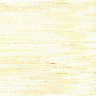 Rouleau de papier peint embossé 3D L 24 pi x l 36 po Duplantis Sisal