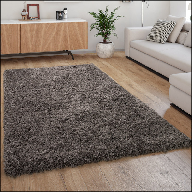 Brucedale Uniform Color Shag Area Rug, Rectangle 240 x 340cm