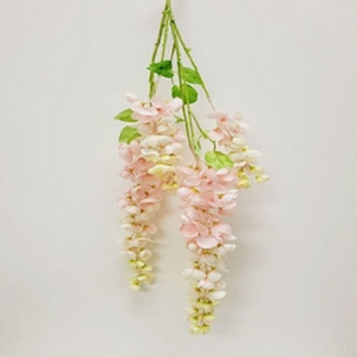Jet de glycine suspendu