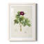 «Pretty Botanicals III», cadre photo-1776683591-1776683595