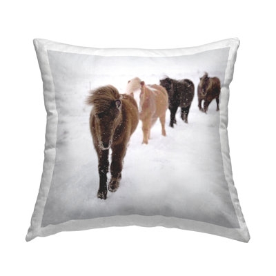 Throw Pillow