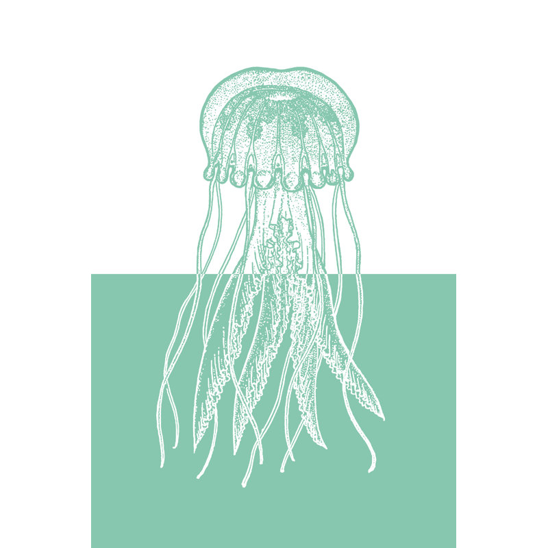 Seafoam Jelly - Wrapped Canvas Print, 76cm H x 51cm W x 3.8cm D